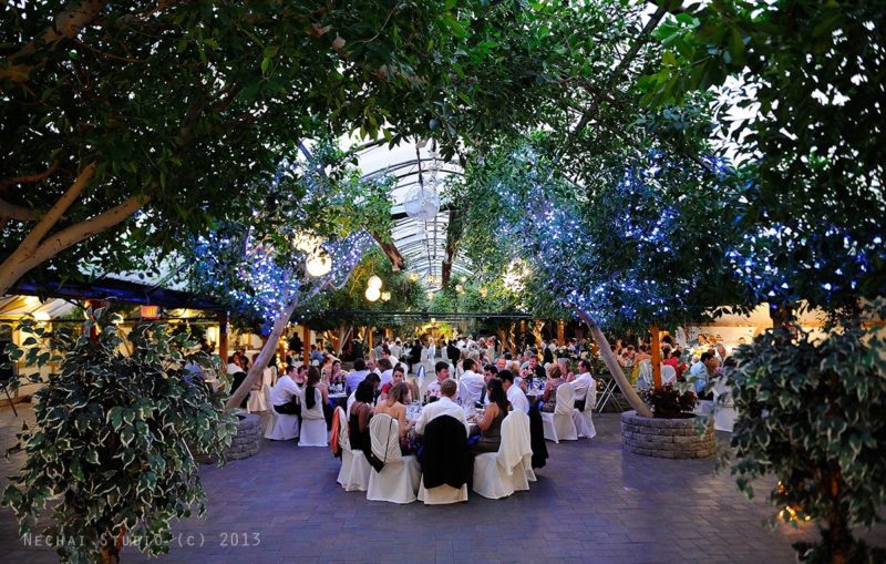Home Madison Greenhouse