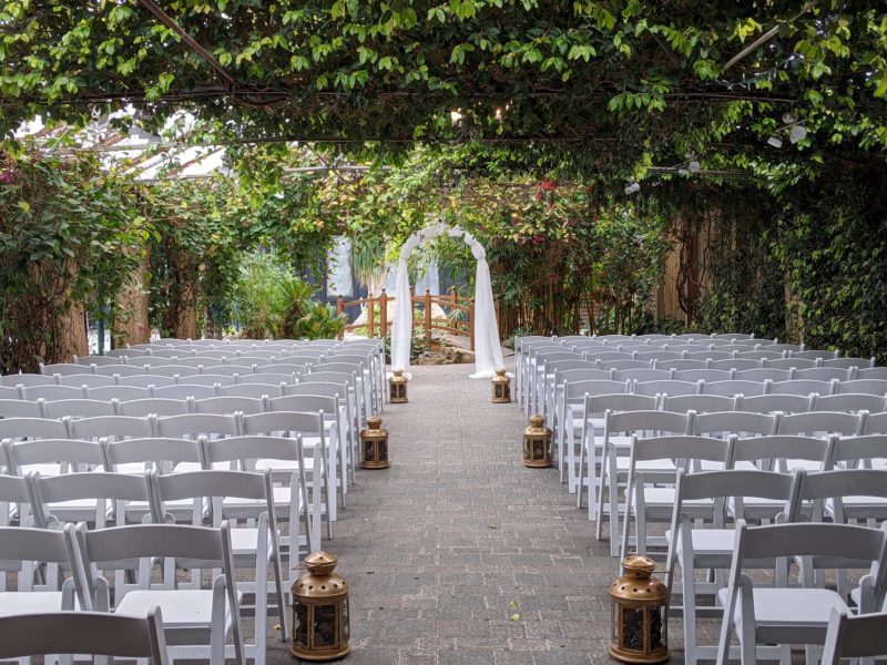 Ivy Chapel | Madison Greenhouse